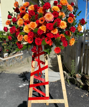 Hoa Chúc Mừng - Da Lat Farm